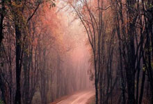 每体：经初步检查后库巴西伤情似乎不严重，仅为脚踝扭伤.