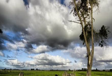 3377体育：“我”需要体重管理吗？.