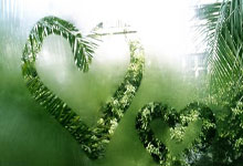 传足胜负彩第25046期看点：国足力拼澳洲 巴阿再演大战.