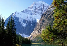 每体：经初步检查后库巴西伤情似乎不严重，仅为脚踝扭伤.