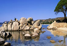 许永凯金羽佳夺搭档后首冠 放眼明年马国羽球公开赛.